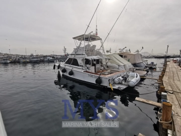 Blackfin 38 convertible usata in vendita