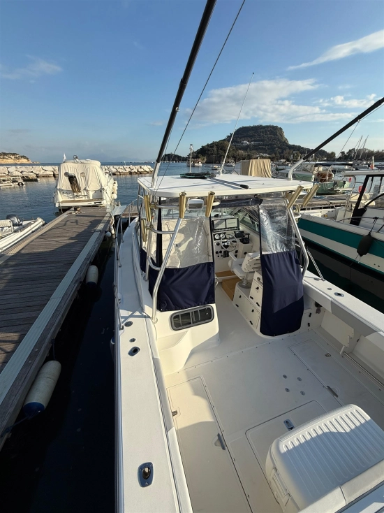 Boston Whaler 295Conquest de segunda mano en venta