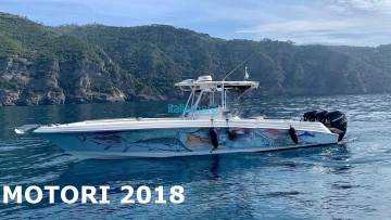 Wellcraft 35 usata in vendita