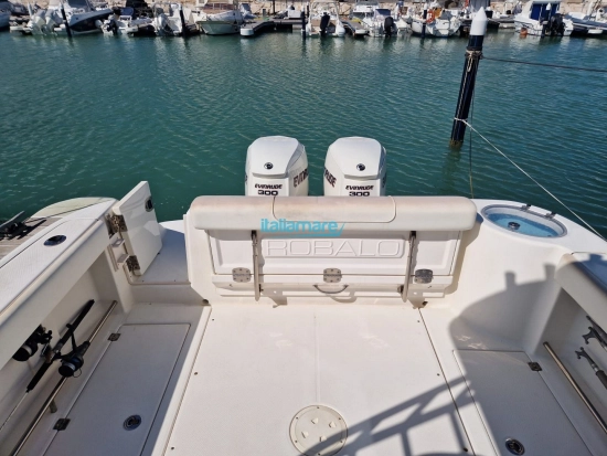 Robalo R 305 usado à venda