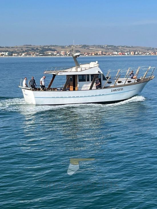 Azzurro 44 usado à venda