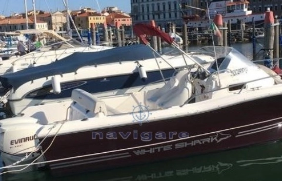 Kelt WHITE SHARK 248 SUNDECK usata in vendita