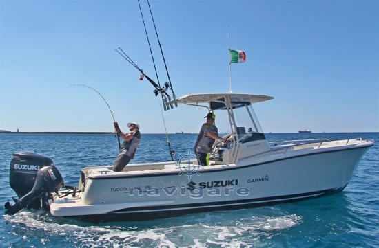Tuccoli Marine T250 VM nuova in vendita