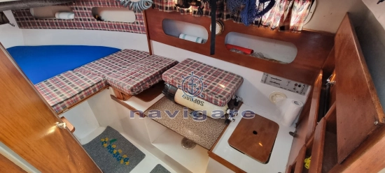 Tuccoli Ivano T 25 Moby Dick Tournament Cabin usata in vendita
