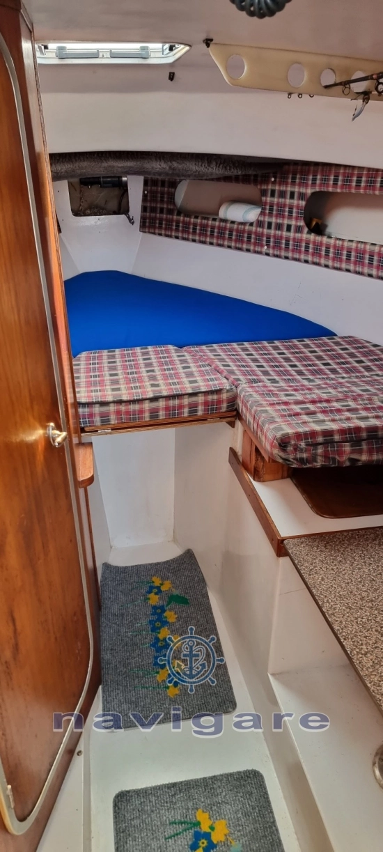 Tuccoli Ivano T 25 Moby Dick Tournament Cabin usata in vendita