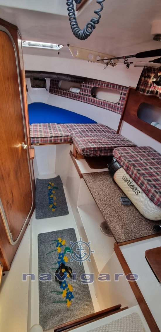 Tuccoli Ivano T 25 Moby Dick Tournament Cabin usata in vendita