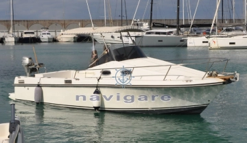 Royal Yacht Group Harpoon 255 Walkaround usado à venda
