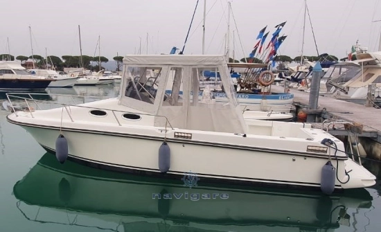 Royal Yacht Group Harpoon 255 Walkaround de segunda mano en venta