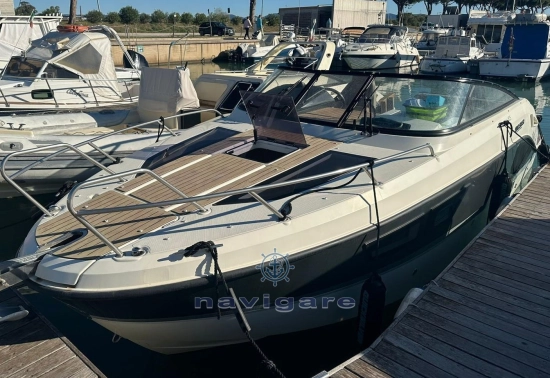 Quicksilver Cruiser Activ 805 usado à venda