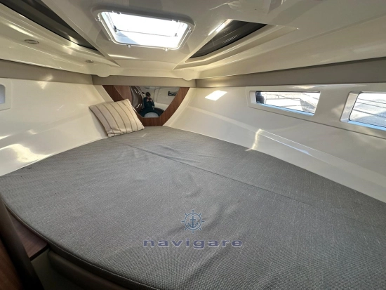 Quicksilver Cruiser Activ 805 usado à venda