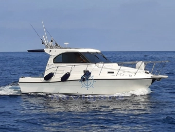 Plastik SPACE 290 CRUISER usado à venda