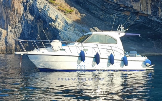 Plastik SPACE 290 CRUISER usata in vendita
