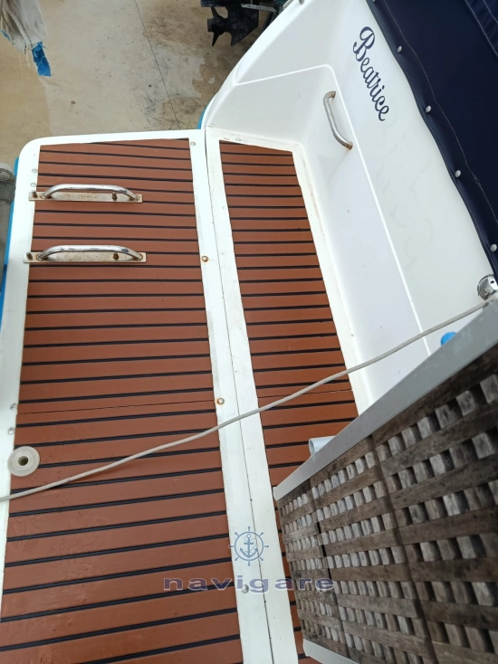 Sea Ray Sundancer 290 de segunda mano en venta