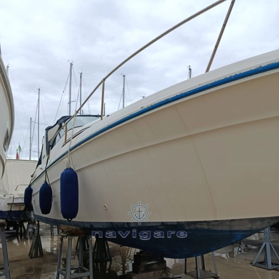 Sea Ray Sundancer 290 de segunda mano en venta