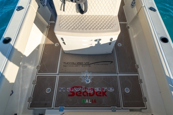 Tuccoli Marine T250 VM EVOLUZIONE usata in vendita