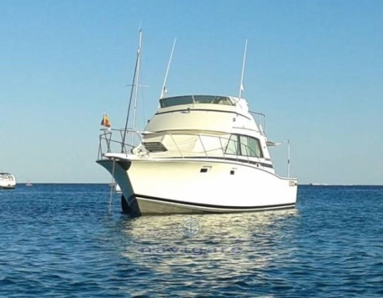 Bertram 38 Sport fish MK 3 usado à venda