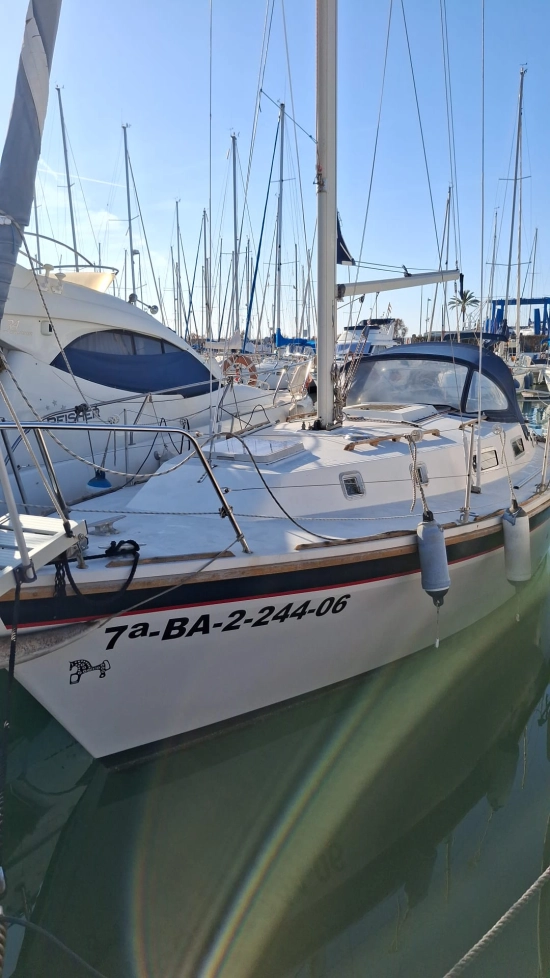 Westerly 880 usata in vendita