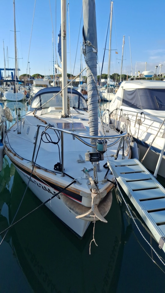 Westerly 880 usata in vendita
