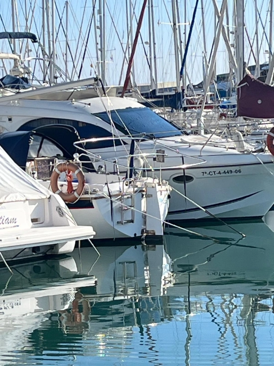 Westerly 880 usata in vendita