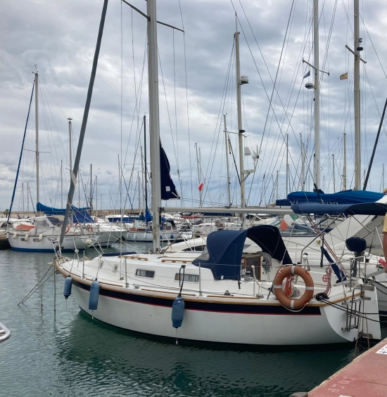 Westerly 880 usata in vendita