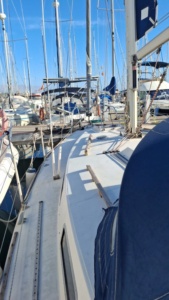 Westerly 880 usata in vendita