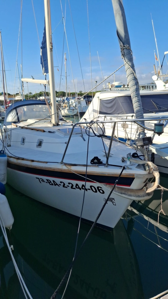 Westerly 880 usata in vendita