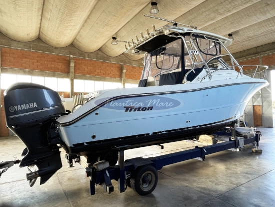 Triton Boats 301 XD de segunda mano en venta
