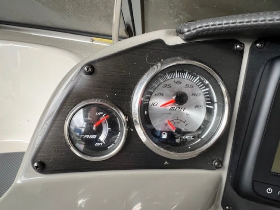 Stingray 250 CR de segunda mano en venta