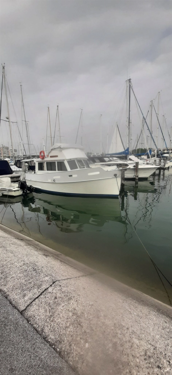 American Marine GRAND BANKS 32 de segunda mano en venta