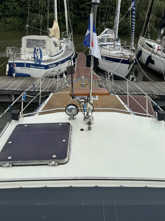 Eigenbau Reinke Tourina 10 m usado à venda