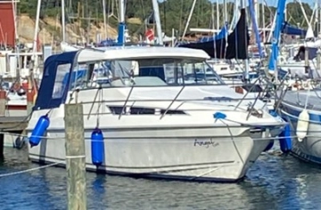 Marex 290 Sun Cruiser usata in vendita