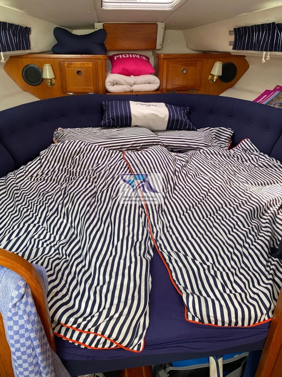 Marex 290 Sun Cruiser usado à venda