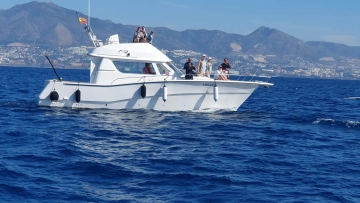 Rodman 1250 de segunda mano en venta