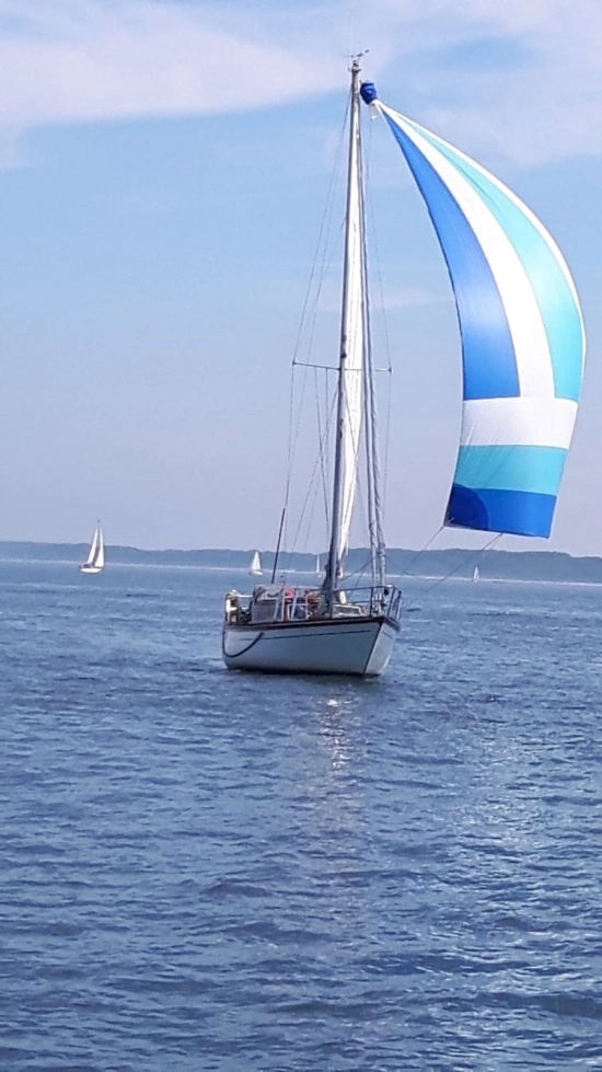 Baltika 10,40 m Decksalon Segelyacht usata in vendita