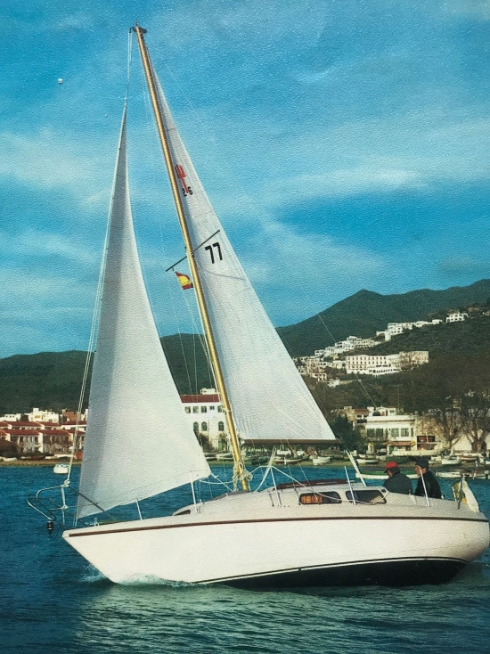 Neptun Werft 26 de segunda mano en venta
