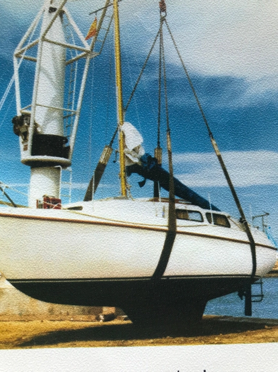 Neptun Werft 26 de segunda mano en venta