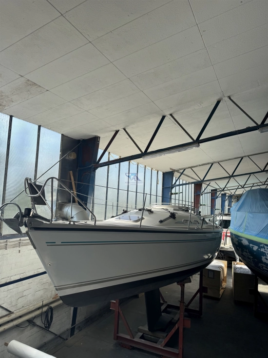 Dehler 36 Match Race de segunda mano en venta