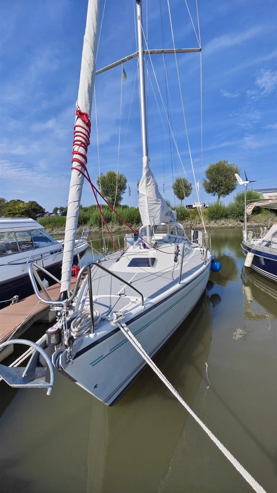 Dehler 36 Match Race de segunda mano en venta