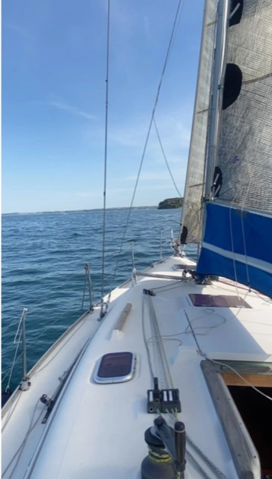 Hanse 342 usado à venda