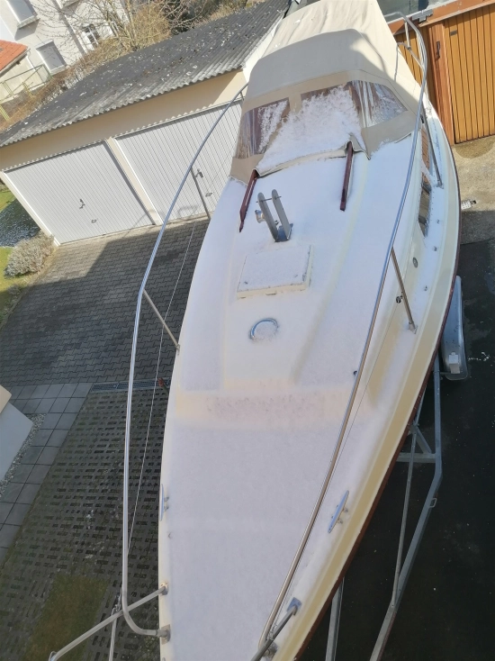 Neptunus Neptun de segunda mano en venta