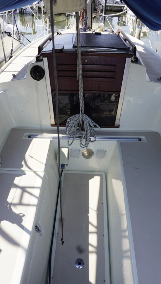 Neptunus Neptun de segunda mano en venta
