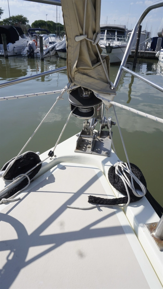 Neptunus Neptun de segunda mano en venta
