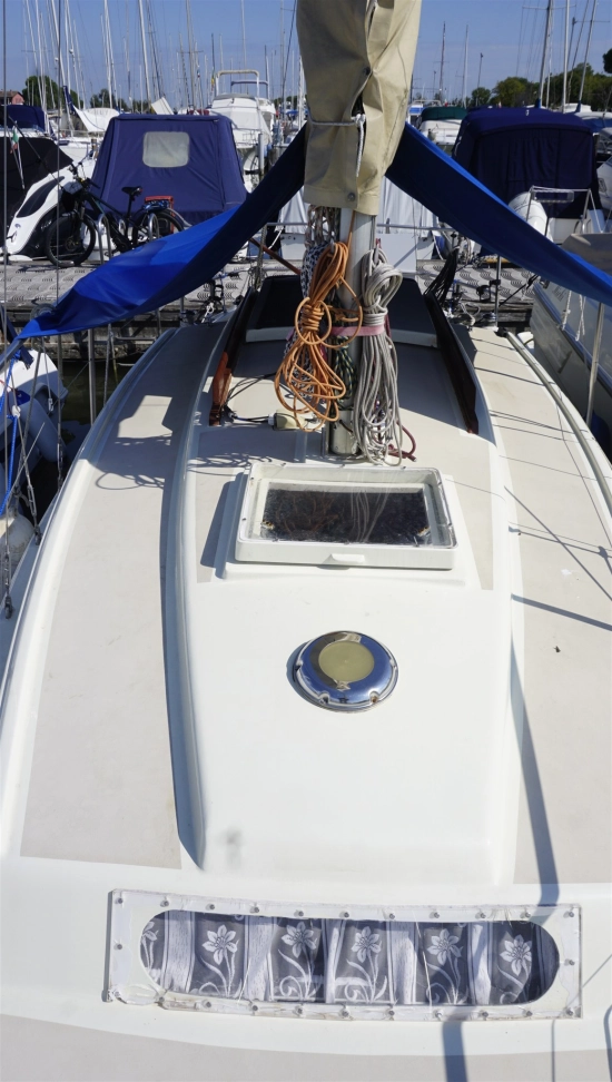 Neptunus Neptun de segunda mano en venta