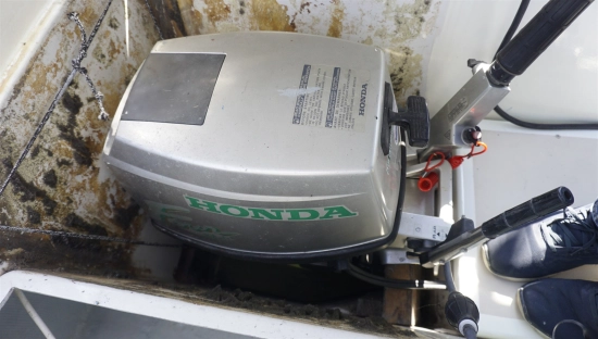 Neptunus Neptun de segunda mano en venta