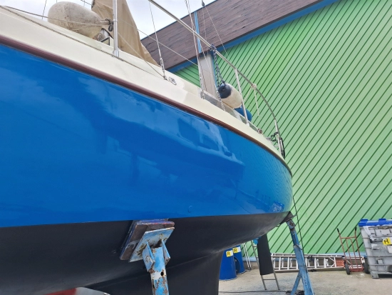 Neptunus Neptun de segunda mano en venta