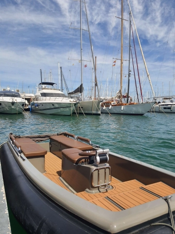 Yachtwerft Hamburg Ribcat 4.3 usado à venda