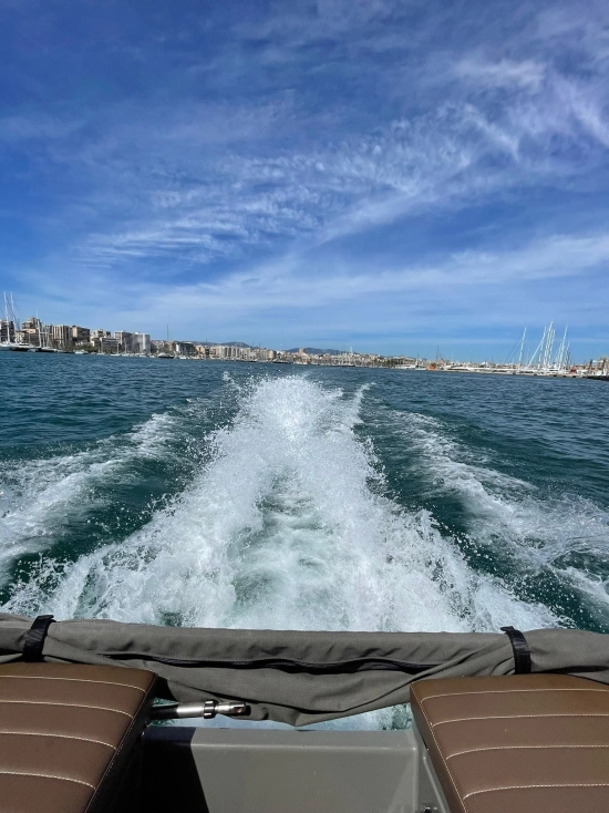 Yachtwerft Hamburg Ribcat 4.3 usado à venda