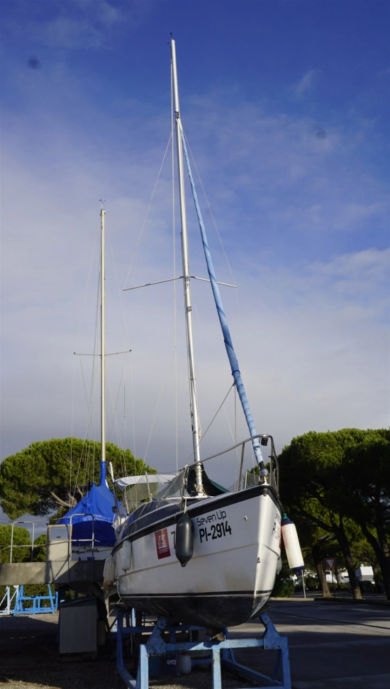 MacGregor 26 de segunda mano en venta