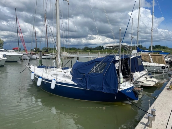 Dubbel & Jesse Nordsee 39 usata in vendita