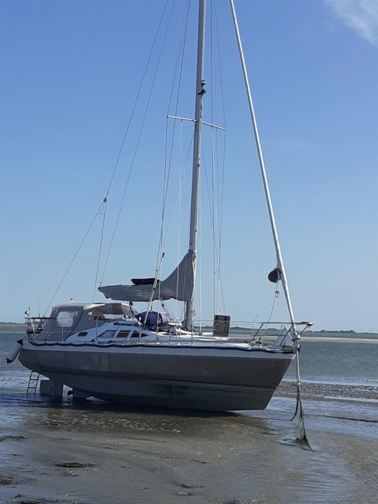 Alubat Ovni 30 de segunda mano en venta